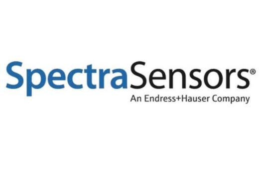 Endress+Hauser Spectra Sensors